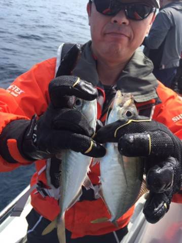 シーモンキー 釣果