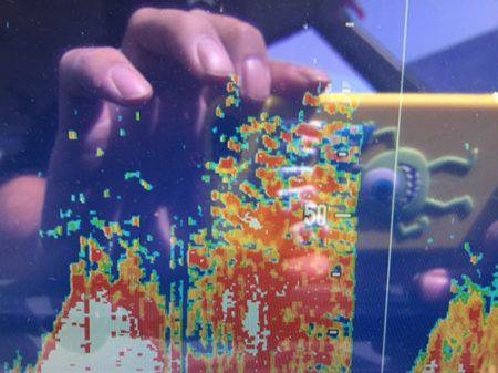 シーモンキー 釣果