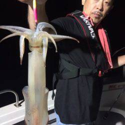 シーモンキー 釣果