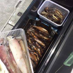 シーモンキー 釣果