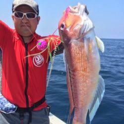 シーモンキー 釣果