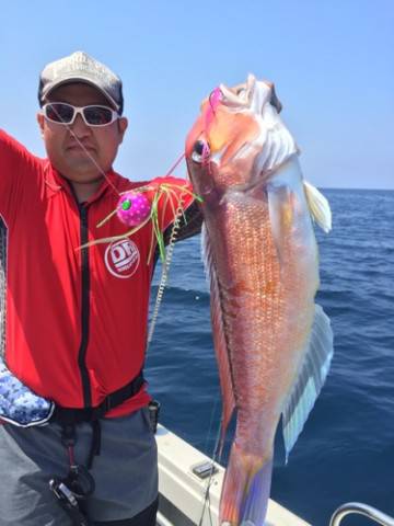 シーモンキー 釣果