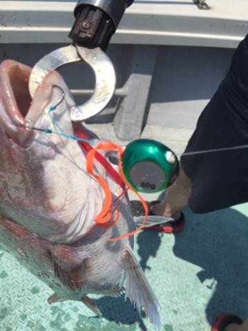 シーモンキー 釣果