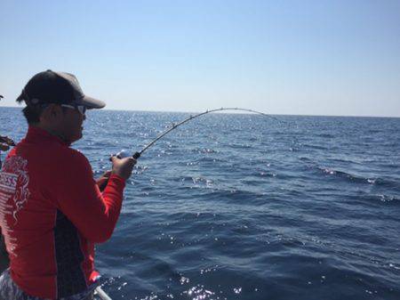 シーモンキー 釣果