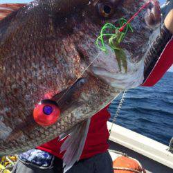 シーモンキー 釣果