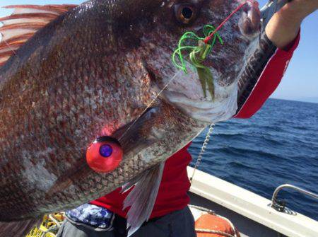 シーモンキー 釣果