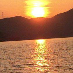 シーモンキー 釣果