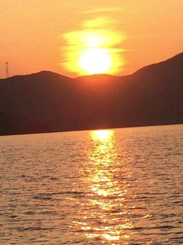 シーモンキー 釣果