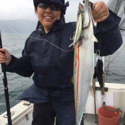 シーモンキー 釣果