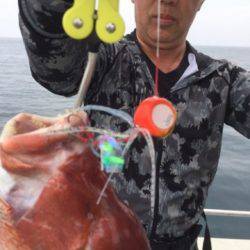 シーモンキー 釣果