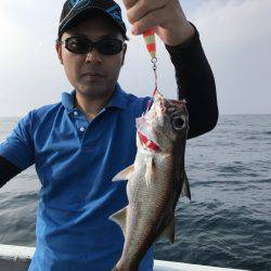 たいし丸 釣果