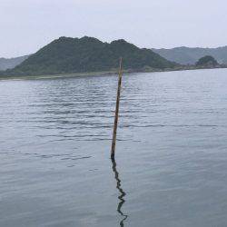 たいし丸 釣果