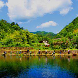 小菅トラウトガーデン 釣果