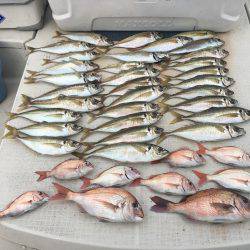 オーシャンズ 釣果