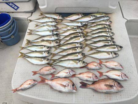 オーシャンズ 釣果