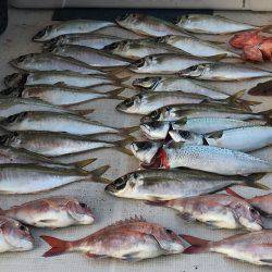 オーシャンズ 釣果