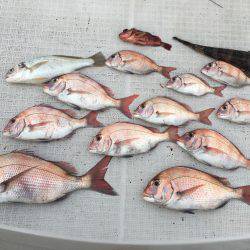 オーシャンズ 釣果