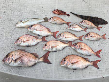 オーシャンズ 釣果