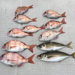 オーシャンズ 釣果