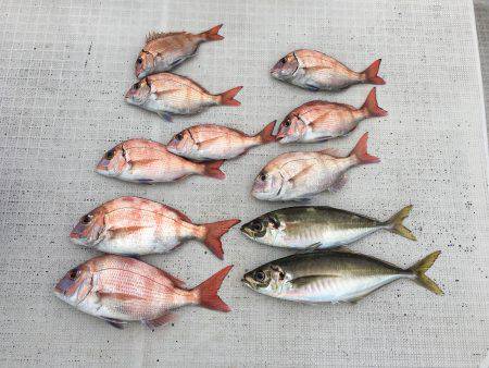 オーシャンズ 釣果