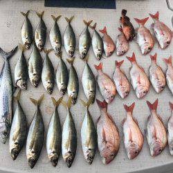 オーシャンズ 釣果