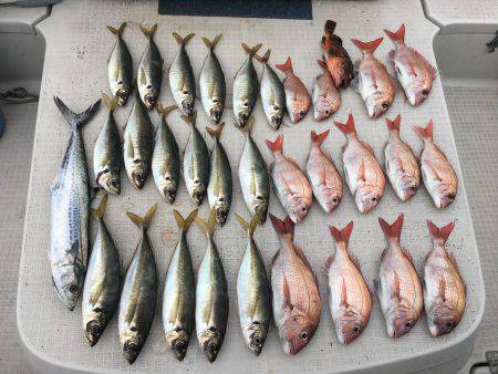 オーシャンズ 釣果