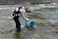 秩父フライフィールド 釣果