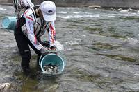 秩父フライフィールド 釣果