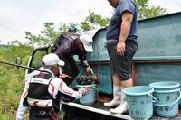 秩父フライフィールド 釣果