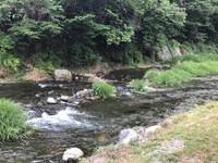 秩父フライフィールド 釣果