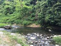 秩父フライフィールド 釣果