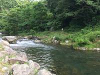 秩父フライフィールド 釣果