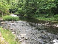 秩父フライフィールド 釣果