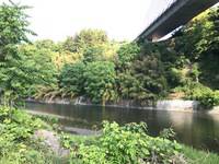 秩父フライフィールド 釣果