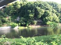 秩父フライフィールド 釣果