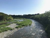 秩父フライフィールド 釣果