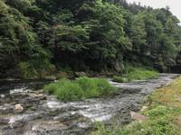 秩父フライフィールド 釣果