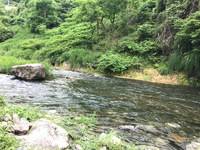 秩父フライフィールド 釣果