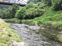 秩父フライフィールド 釣果