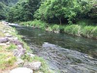 秩父フライフィールド 釣果