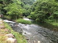 秩父フライフィールド 釣果