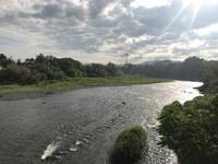 秩父フライフィールド 釣果