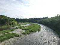 秩父フライフィールド 釣果