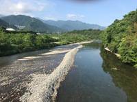 秩父フライフィールド 釣果