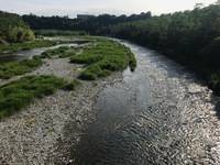 秩父フライフィールド 釣果