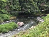 秩父フライフィールド 釣果