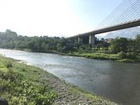 秩父フライフィールド 釣果