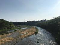 秩父フライフィールド 釣果