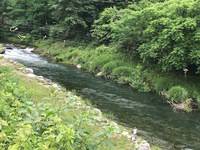 秩父フライフィールド 釣果