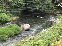 秩父フライフィールド 釣果